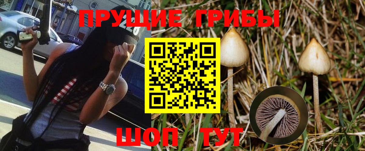 Гашиш  LSD-25  Конопля  Мефедрон кристаллы  Соликамск  Кокаин  Вход с VPN 